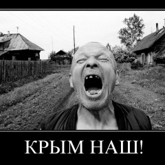 Дори чайките избягаха от окупирания Крим