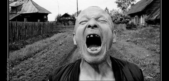 Дори чайките избягаха от окупирания Крим